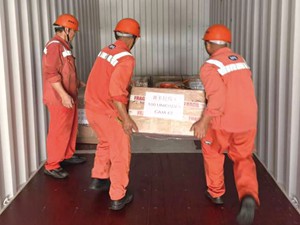 上港物流助力进博箱快速通关